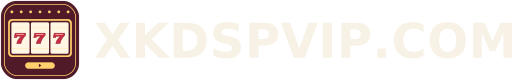 XKDSPVIP.COM